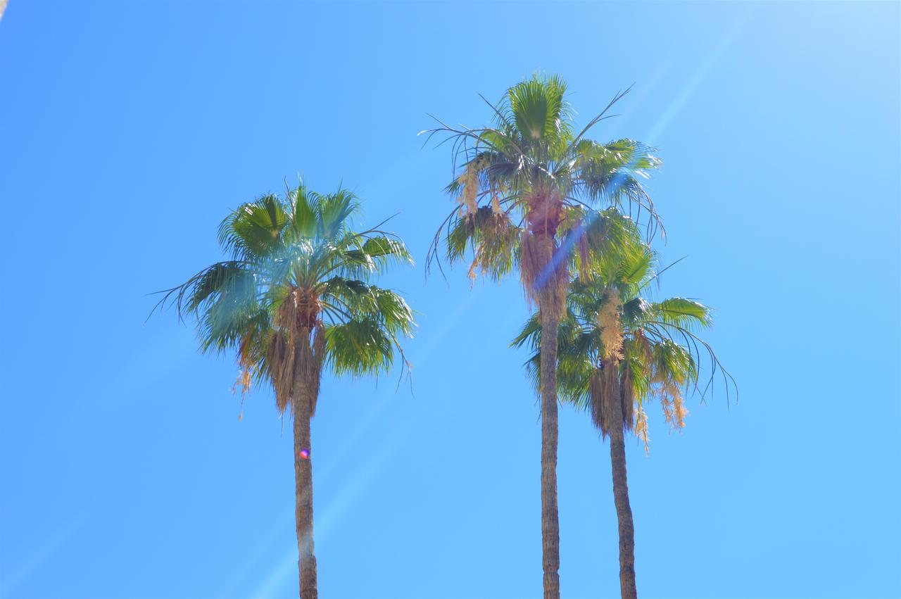 Musicland Hotel Palm Springs Exterior photo