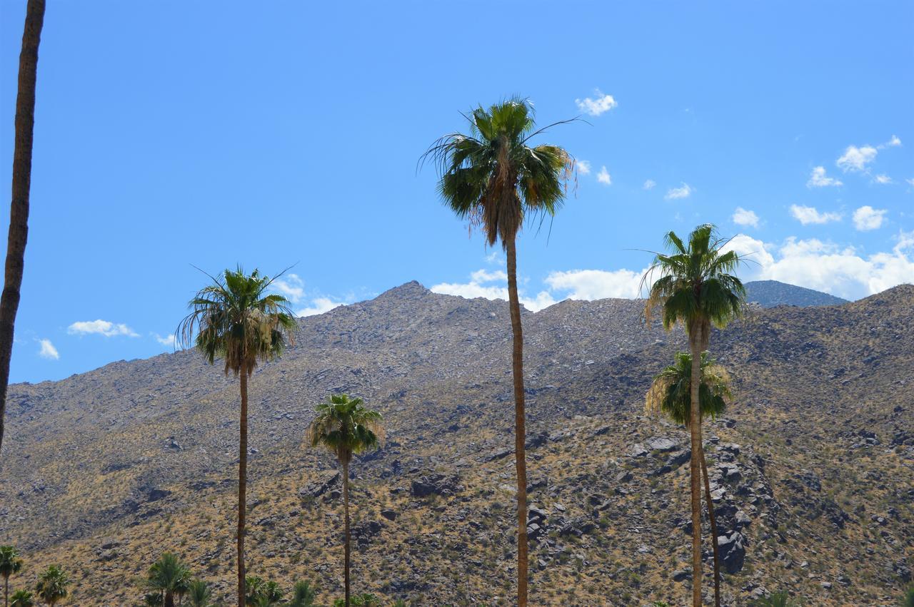 Musicland Hotel Palm Springs Exterior photo